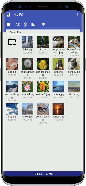 Remote file access and management